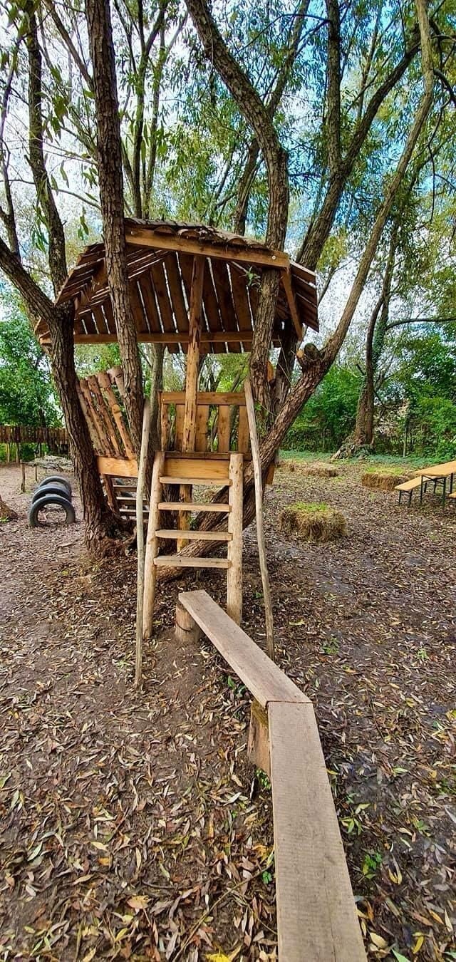 The Adventure Trail 6